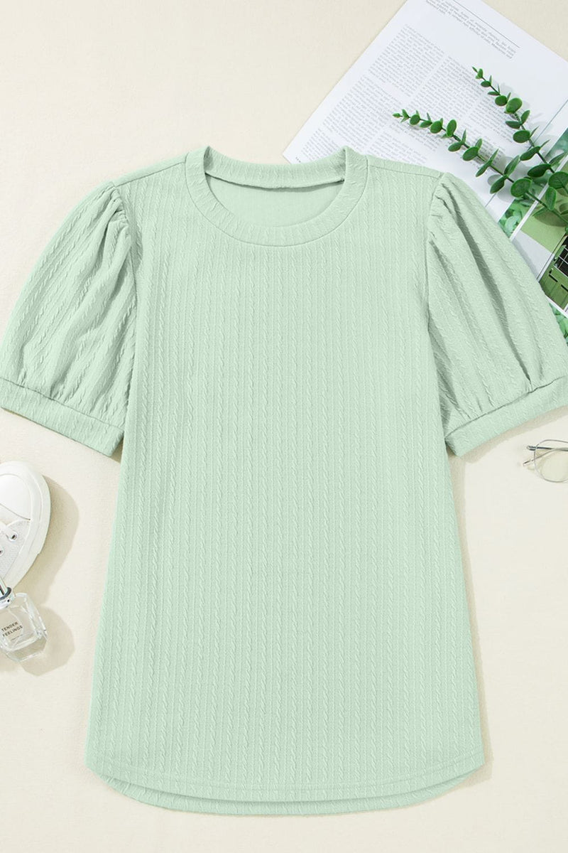 Textured Round Neck Short Puff Sleeve Top